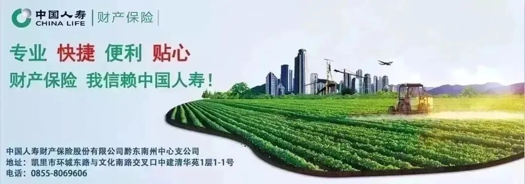 8人！黔东南一地连发四则人事任免通知