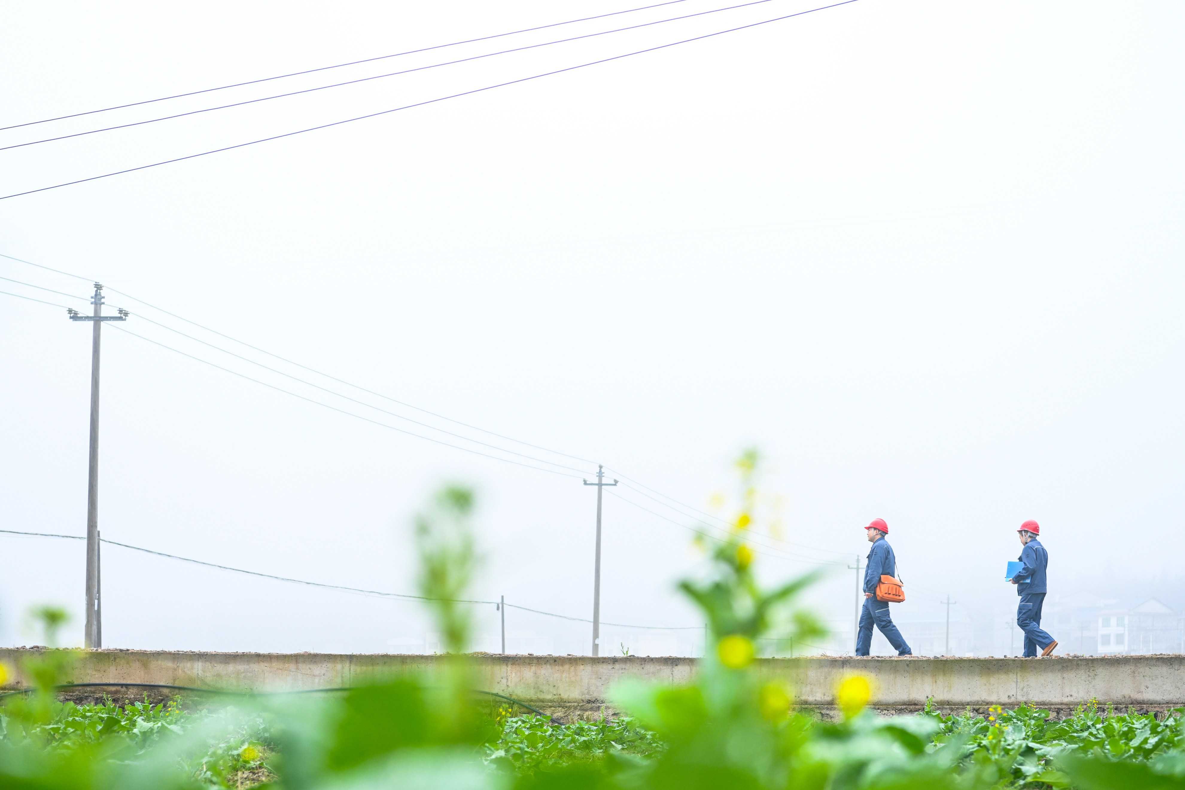 春节坚守巡线路 点亮乡村万家灯——农村电网守护者守护团圆年