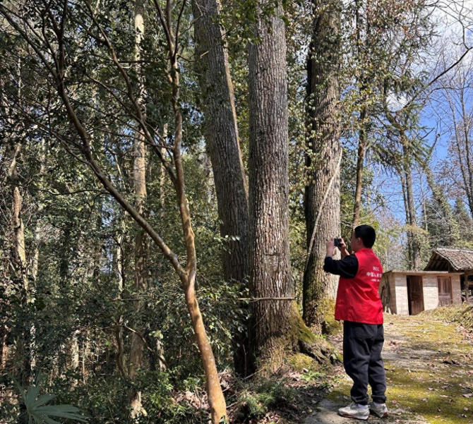 人保财险黔东南分公司：开展精准验标 护航产业发展