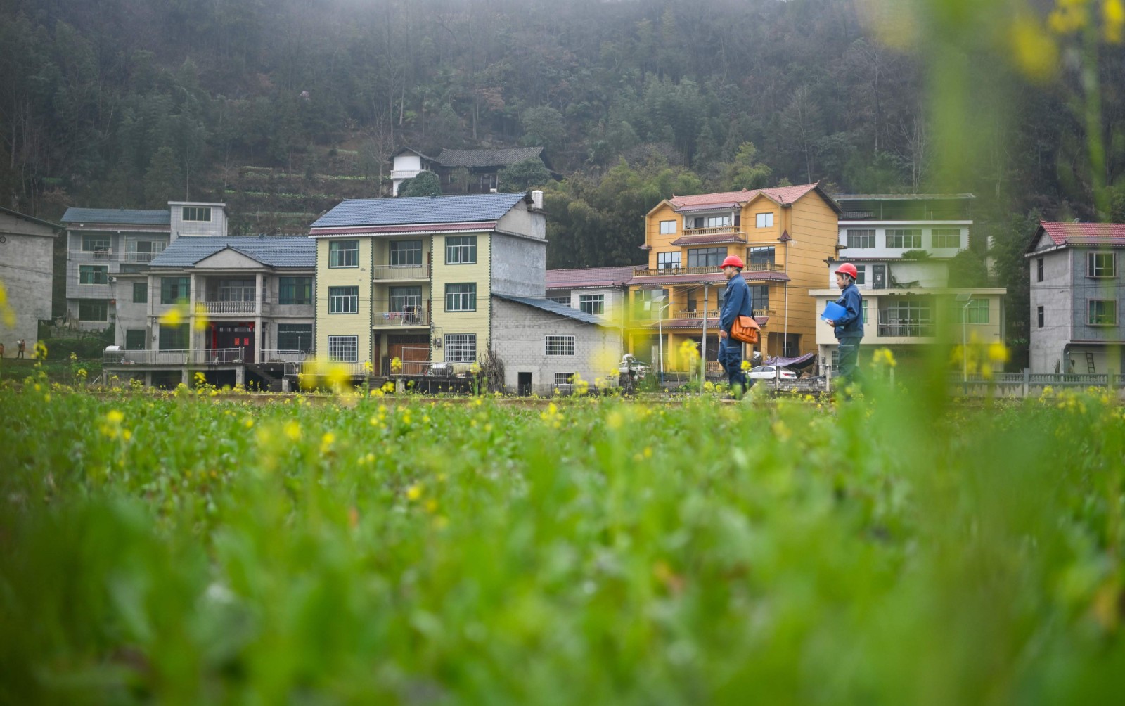 2月17日,凯里岑巩供电局工作人员对岑巩县天马镇10千伏马街线开展春节巡视。 (2).jpg