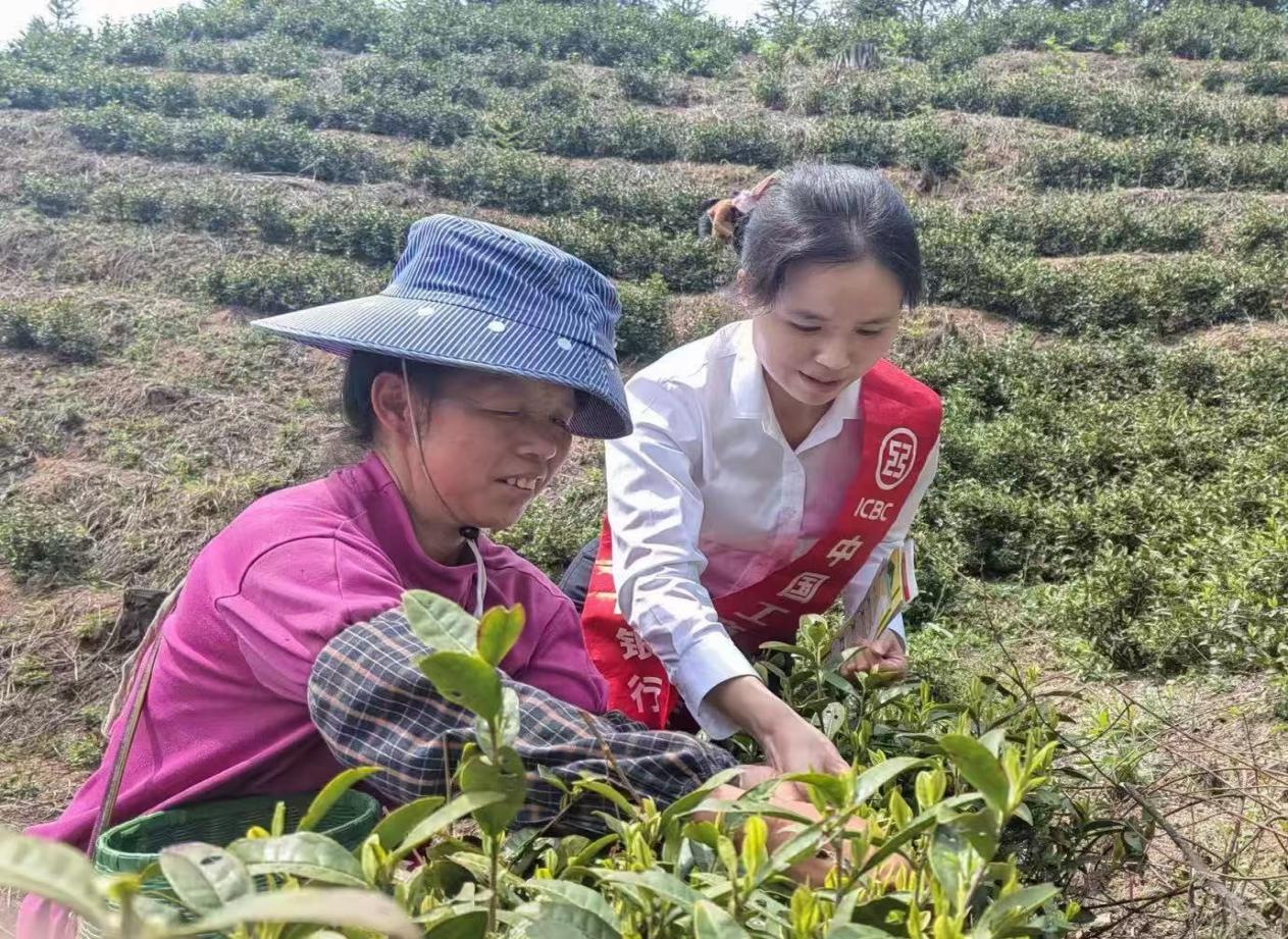 工行榕江1.jpg